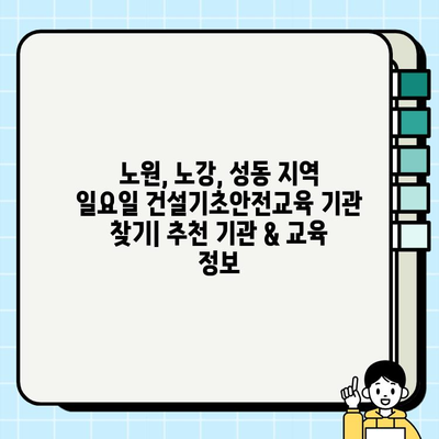 노원, 노강, 성동 지역 일요일 건설기초안전교육 기관 찾기|  추천 기관 & 교육 정보 | 건설 안전 교육, 주말 교육, 서울