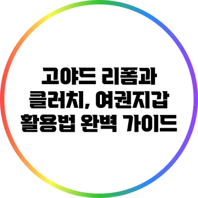 고야드 리폼과 클러치, 여권지갑 활용법 완벽 가이드