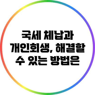 국세 체납과 개인회생, 해결할 수 있는 방법은?