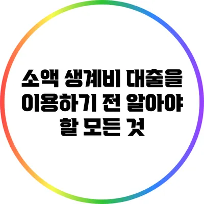 소액 생계비 대출을 이용하기 전 알아야 할 모든 것