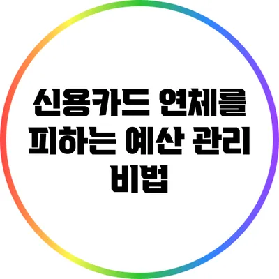 신용카드 연체를 피하는 예산 관리 비법