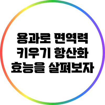 용과로 면역력 키우기: 항산화 효능을 살펴보자