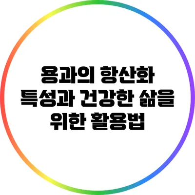 용과의 항산화 특성과 건강한 삶을 위한 활용법