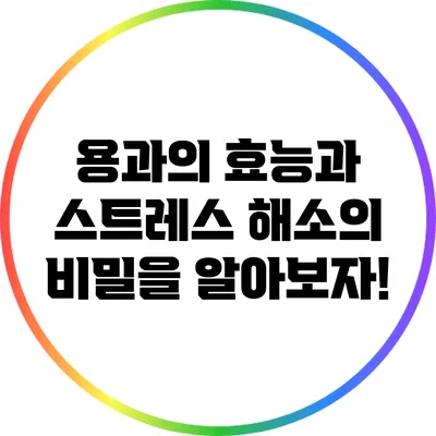 용과의 효능과 스트레스 해소의 비밀을 알아보자!