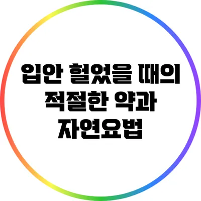입안 헐었을 때의 적절한 약과 자연요법