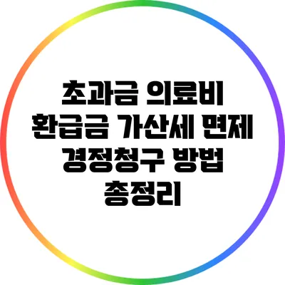 초과금 의료비 환급금 가산세 면제: 경정청구 방법 총정리