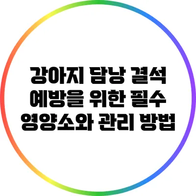 강아지 담낭 결석 예방을 위한 필수 영양소와 관리 방법