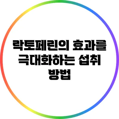 락토페린의 효과를 극대화하는 섭취 방법