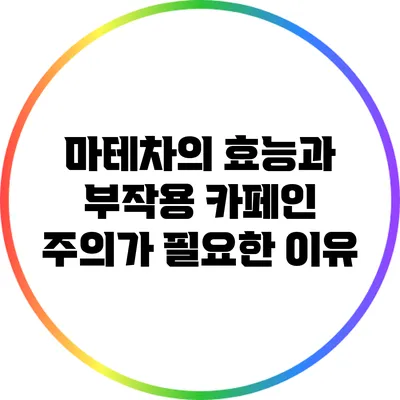 마테차의 효능과 부작용: 카페인 주의가 필요한 이유