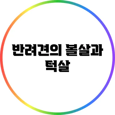 반려견의 볼살과 턱살