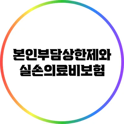 본인부담상한제와 실손의료비보험