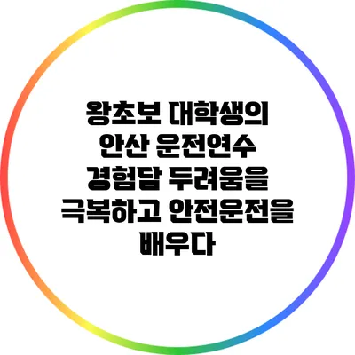 왕초보 대학생의 안산 운전연수 경험담: 두려움을 극복하고 안전운전을 배우다