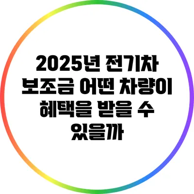 2025년 전기차 보조금: 어떤 차량이 혜택을 받을 수 있을까?