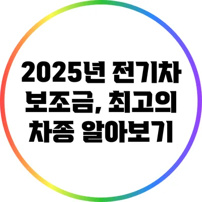 2025년 전기차 보조금, 최고의 차종 알아보기