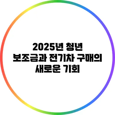2025년 청년 보조금과 전기차 구매의 새로운 기회