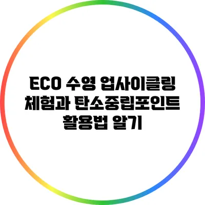 ECO 수영 업사이클링 체험과 탄소중립포인트 활용법 알기
