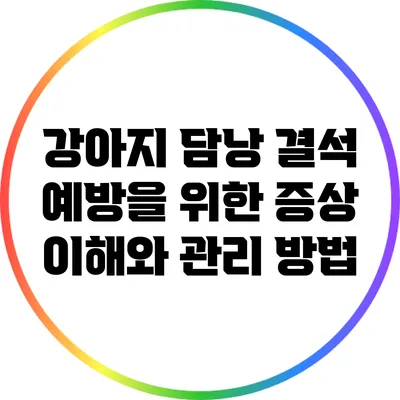 강아지 담낭 결석 예방을 위한 증상 이해와 관리 방법