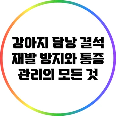 강아지 담낭 결석 재발 방지와 통증 관리의 모든 것