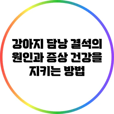 강아지 담낭 결석의 원인과 증상: 건강을 지키는 방법