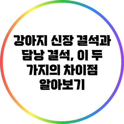 강아지 신장 결석과 담낭 결석, 이 두 가지의 차이점 알아보기