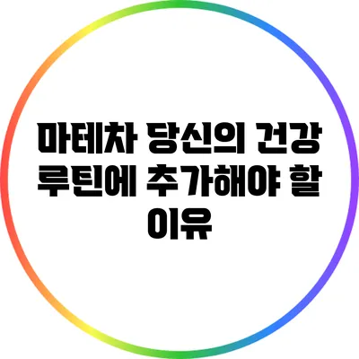 마테차: 당신의 건강 루틴에 추가해야 할 이유