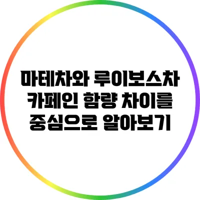 마테차와 루이보스차: 카페인 함량 차이를 중심으로 알아보기