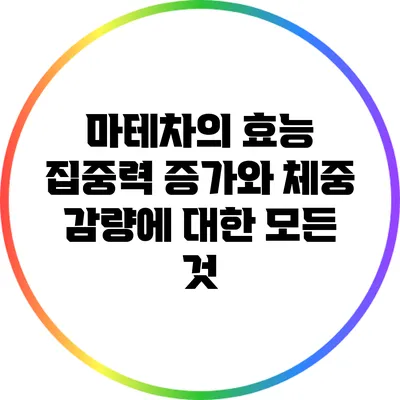 마테차의 효능: 집중력 증가와 체중 감량에 대한 모든 것