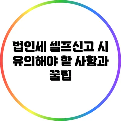 법인세 셀프신고 시 유의해야 할 사항과 꿀팁