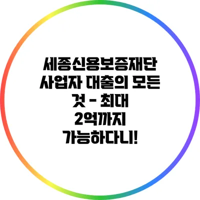 세종신용보증재단 사업자 대출의 모든 것 - 최대 2억까지 가능하다니!