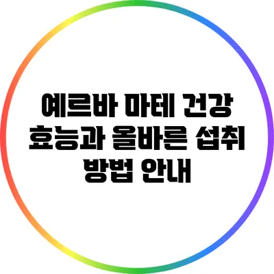 예르바 마테: 건강 효능과 올바른 섭취 방법 안내