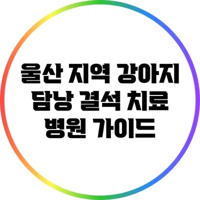 울산 지역 강아지 담낭 결석 치료 병원 가이드