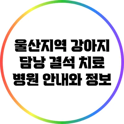 울산지역 강아지 담낭 결석 치료 병원 안내와 정보