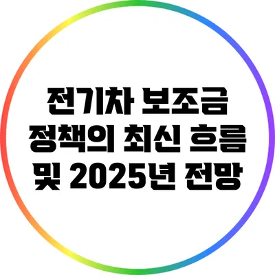 전기차 보조금 정책의 최신 흐름 및 2025년 전망