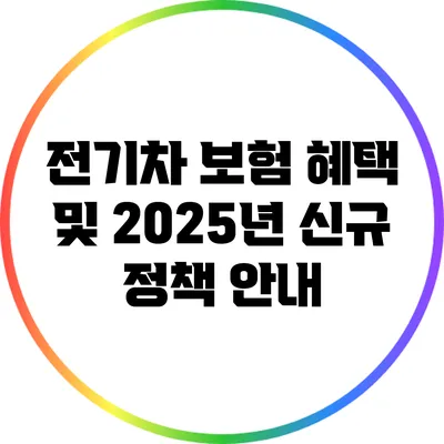 전기차 보험 혜택 및 2025년 신규 정책 안내