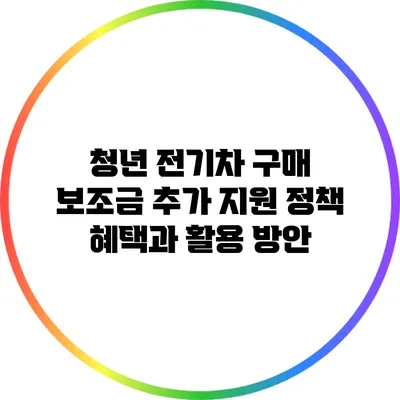 청년 전기차 구매 보조금 추가 지원 정책: 혜택과 활용 방안