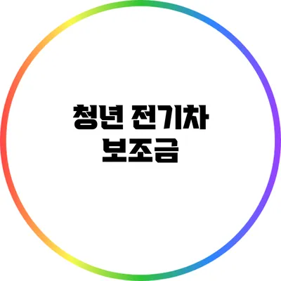 청년 전기차 보조금