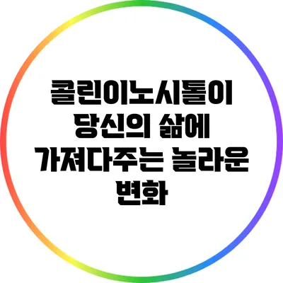 콜린이노시톨이 당신의 삶에 가져다주는 놀라운 변화