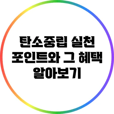 탄소중립 실천 포인트와 그 혜택 알아보기