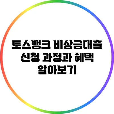 토스뱅크 비상금대출 신청 과정과 혜택 알아보기