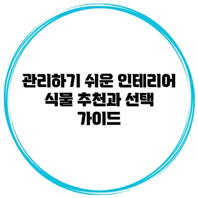 관리하기 쉬운 인테리어 식물 추천과 선택 가이드