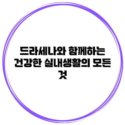 드라세나와 함께하는 건강한 실내생활의 모든 것