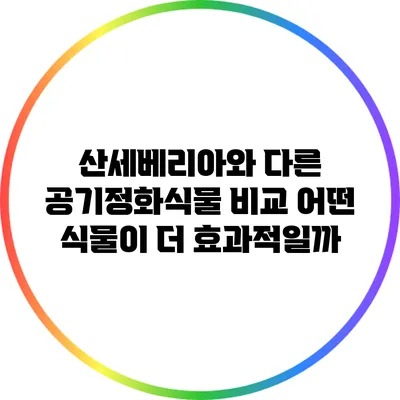 산세베리아와 다른 공기정화식물 비교: 어떤 식물이 더 효과적일까?