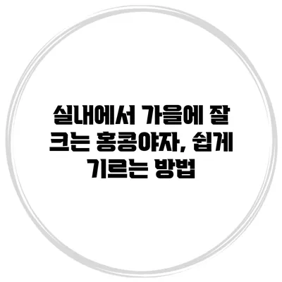실내에서 가을에 잘 크는 홍콩야자, 쉽게 기르는 방법