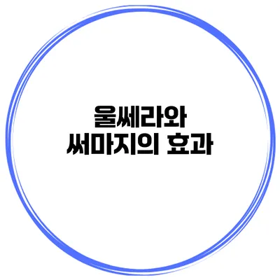 울쎄라와 써마지의 효과