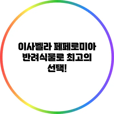 이사벨라 페페로미아: 반려식물로 최고의 선택!