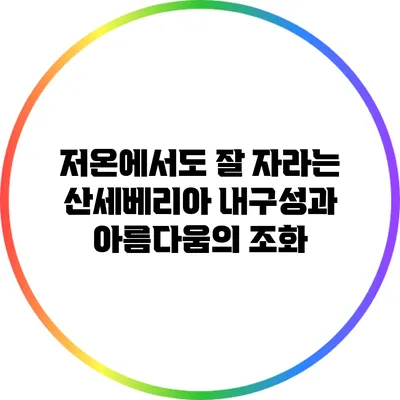 저온에서도 잘 자라는 산세베리아: 내구성과 아름다움의 조화
