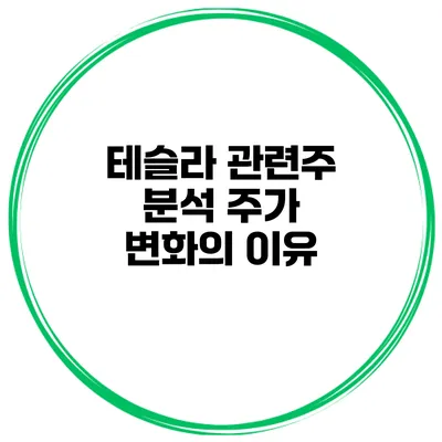 테슬라 관련주 분석 주가 변화의 이유