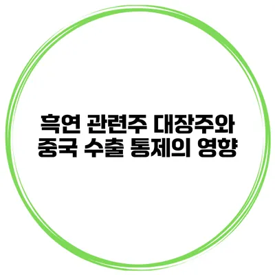 흑연 관련주 대장주와 중국 수출 통제의 영향