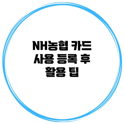 NH농협 카드 사용 등록 후 활용 팁