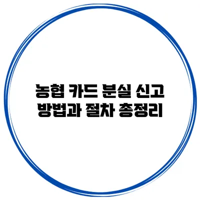농협 카드 분실 신고 방법과 절차 총정리